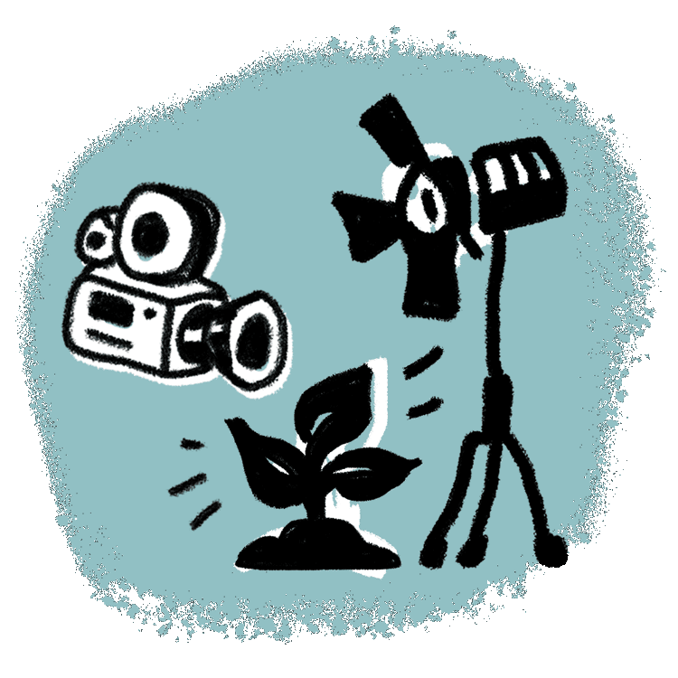 An illustration of cameras focussed on a sprouting plant on a light blue background