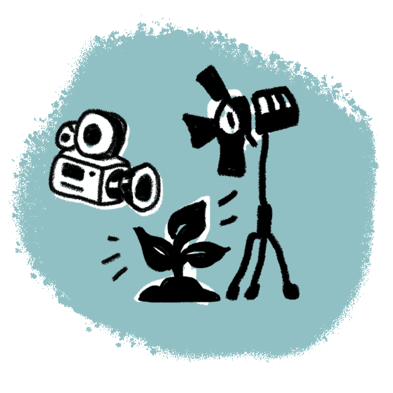 An illustration of a camera and camera lights pointing at a growing plant on a blue background